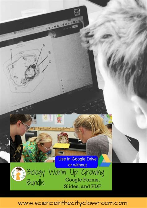 Formative Assessment for Science 的图像结果