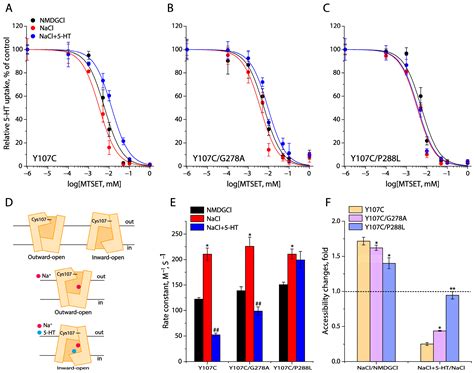 Control of Conformational Transitions by the Conserved GX9P Motif in ...
