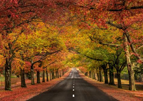 Image result for Autumn Homework EYFS