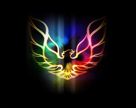 Custom Task Evaluation - Phoenix HD Wallpaper Vector Art