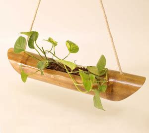 Watika Craft Hanging Planter for Your Home Decorative Shellac Polished ...