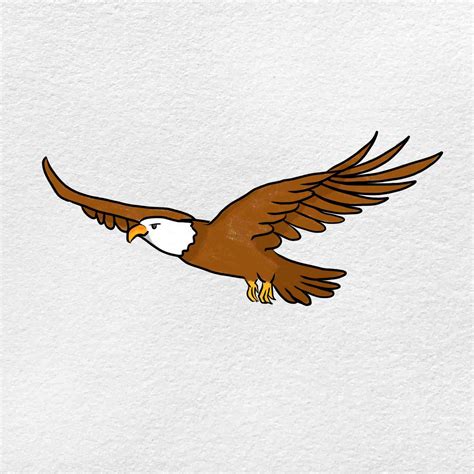 Soaring Eagle Drawing