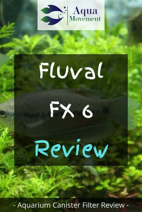 Fluval FX6 Review 的图像结果