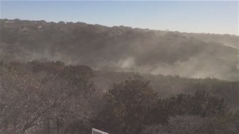 How freezing temperatures impact cedar season in Austin | kvue.com