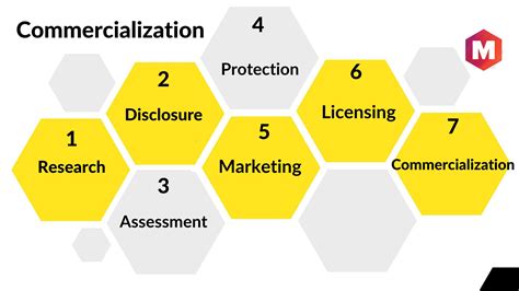 What Is Product Commercialization Process at Laura Sutter blog