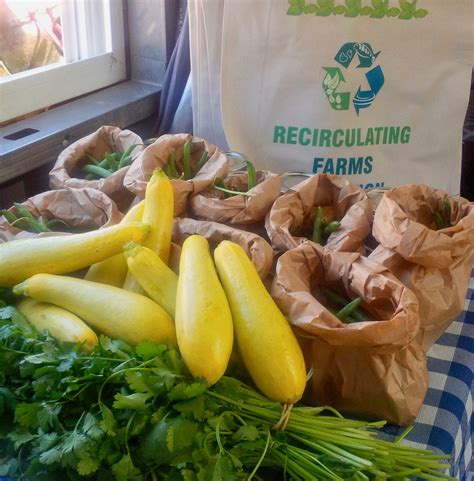 Local Food Movement 的图像结果