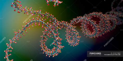 RNA Chain 的图像结果