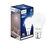 Buy Philips 18-watt LED Bulb |AceBright High Wattage LED Bulb|Base: B22 ...