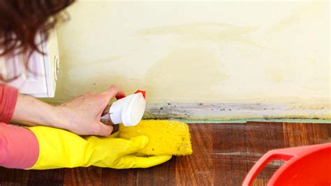 How to remove mould from walls without damaging paint | Homebuilding