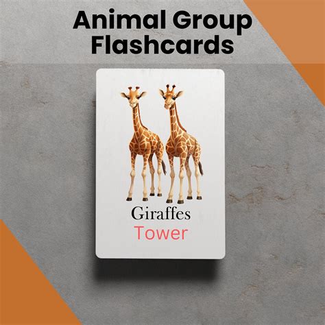 Animal Group Name Printable Flash Cards Learning Tool for Education ...