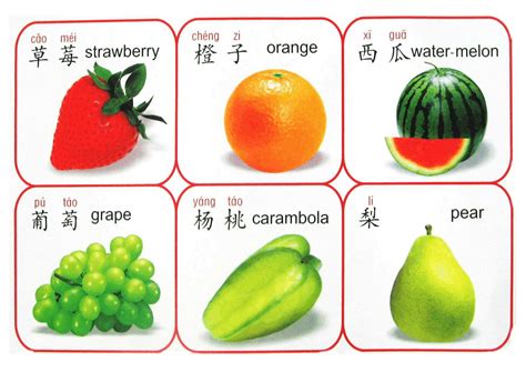 蔬菜水果品名设计图__展板模板_广告设计_设计图库_昵图网nipic.com