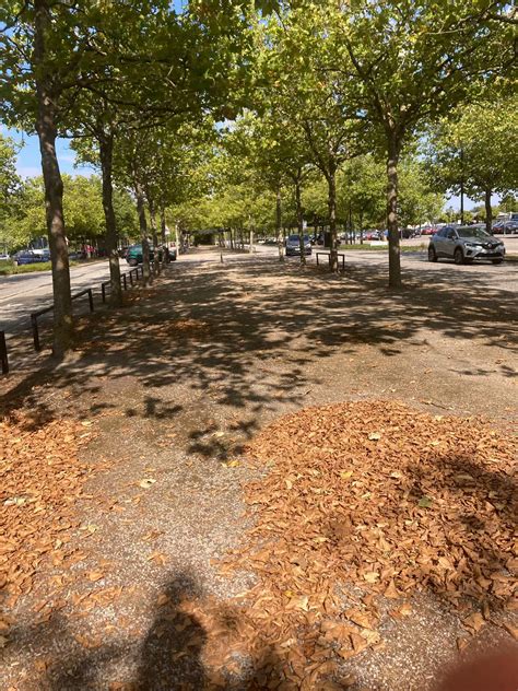 @Kyan🌌 @Alex ⚽️ @LucaBuca30🇷🇴 @𝑱𝑪 @ʀɪʟᴇʏ🦦 @liam @jc @@e’ ... | TikTok