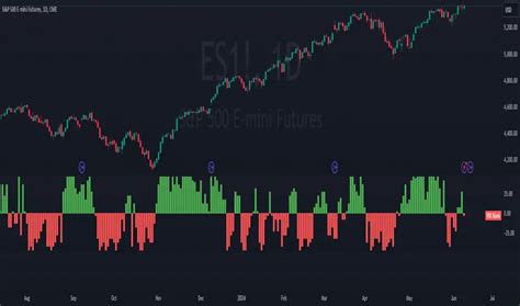 Rank Histogram 的图像结果