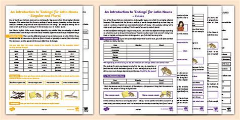 👉 An Introduction to 'Endings' for Latin Nouns Pack