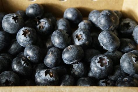 Vitamins A, C, And E, Photos, Download The BEST Free Vitamins A, C, And E, Stock Photos & HD Images