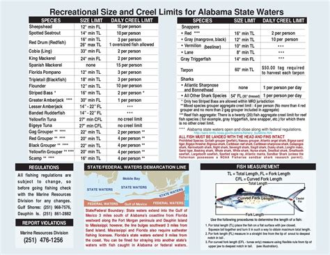 Saltwater Fishing Size Limits at Mark Hinson blog
