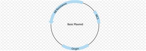 Vector Biotechnology Example 的图像结果