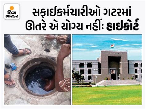 Why are humans allowed to do such things? The question of the court to ...