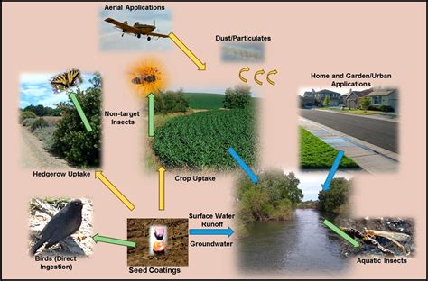 Image result for Insecticide Effects