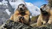 Image result for Stock Price Prediction Project with Source Code Using Python Pictures