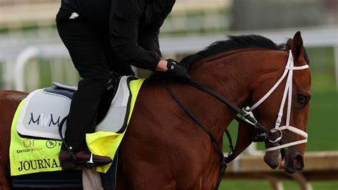 New report scolds authorities’ tactics to ‘control’ right to protest ...