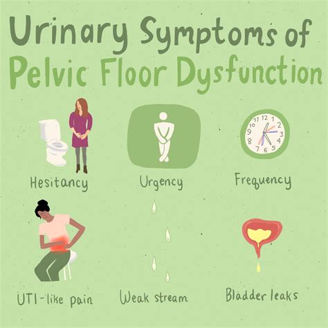 Interstitial Cystitis/Bladder Pain Syndrome: Diagnosis and Subtypes