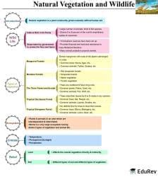 Mind Map: Natural vegetation and wildlife - Subject-Wise Mind Maps for ...