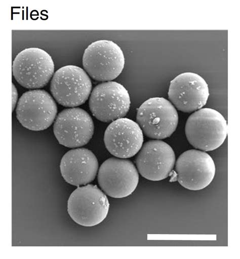 DNA digital data storage Data Encoding 的图像结果