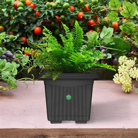 UV Treated Square Plastic Planter(14 Inch) – TrustBasket