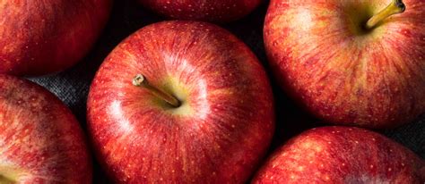 Canned Apple Pie Filling - Azure Standard