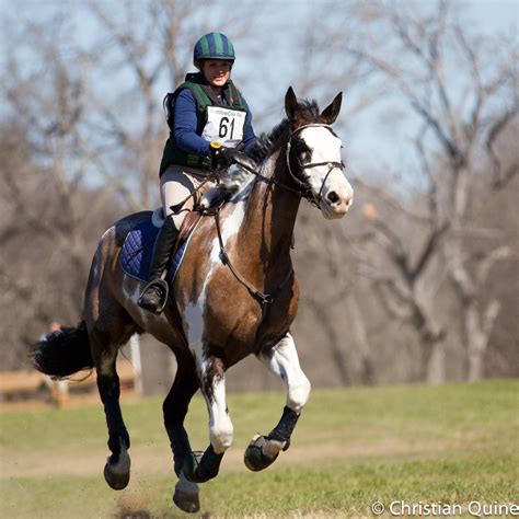 Equestrian Cross Country Colours Uk at Alexis Kevin blog