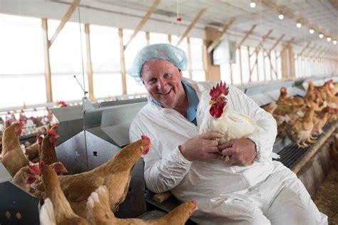 Introducing Bell & Evans Chicken | New Pioneer Food Co-op