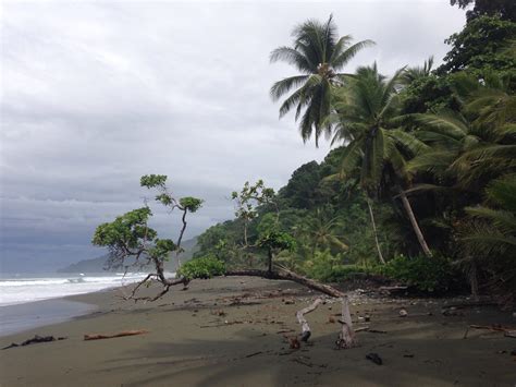 Osa Peninsula, CR holiday accommodation: holiday houses & more | Stayz