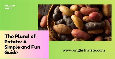 The Plural of Memorandum: Simple Grammar Guide Explained - English Wista