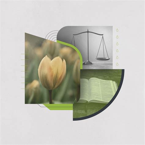 What Is Presbyterianism?