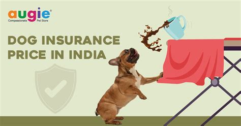 Best E-Commerce Pet Store in India | Online Pet Store India | Pets ...
