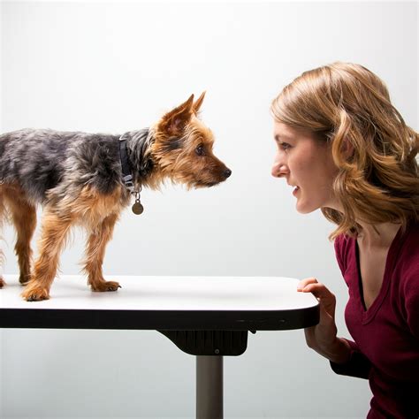 Was The Dog The First Domesticated Animal