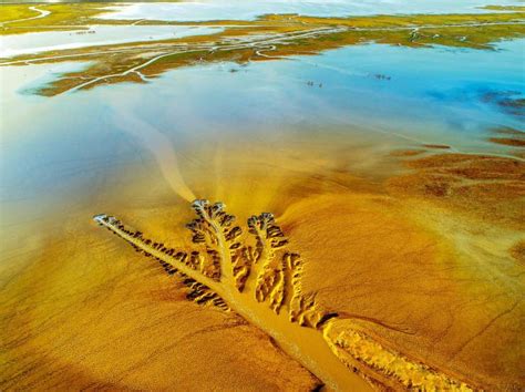 苏东另类“黄金”海岸 中国最长的淤泥质自然岸线在此珍藏 |文章|中国国家地理网