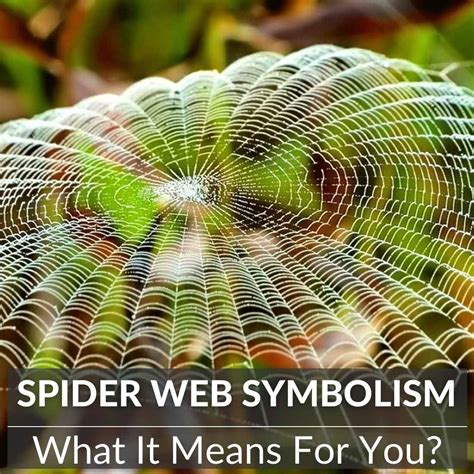 Unlocking Spider Web Symbolism: Discover Its Meaning