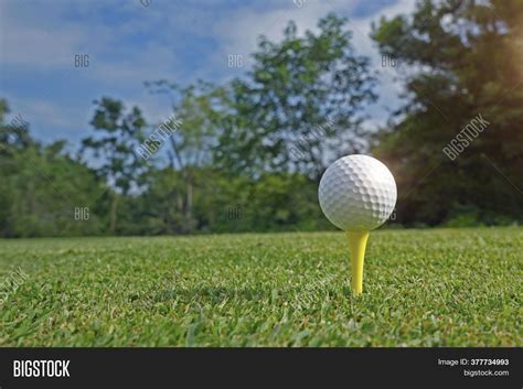 Golf Ball and Tee 的图像结果