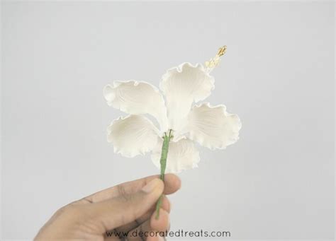Image result for Gum Paste Hibiscus Flower Tutorial