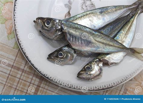 Mackerel Vs Sardines Nutrition at Ida Barrera blog