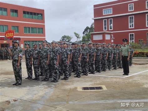 第71集团军某旅：体系练兵 锻铸防空利剑_腾讯新闻