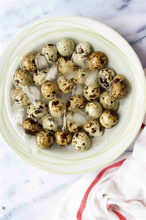 How to Cook Quail Eggs - Brazilian Kitchen Abroad