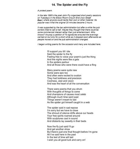 The Spider and the Fly a poem by Roger Hayman