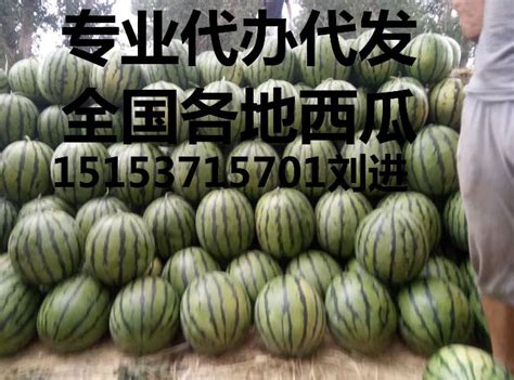 泗水刘进每年51节开始代收代发山东西瓜 - 绿果网