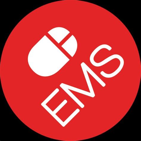 e.m.s. technologies