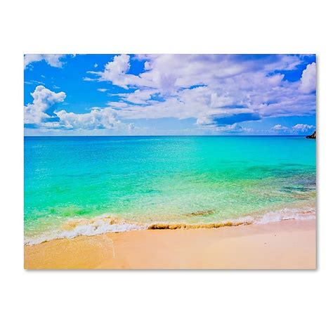 Trademark Fine Art Artist Preston Multicolor Framed 24-in H x 32-in W ...