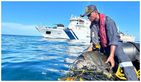 ராமேசுவரம்: நடுக்கடலில் வலையில் சிக்கிய ஆமையை உயிருடன் மீட்ட இந்திய ...