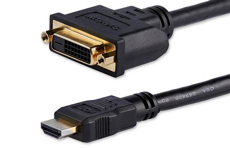 8 Amazing HDMI To Dvi Cable Adapter for 2023 | CitizenSide